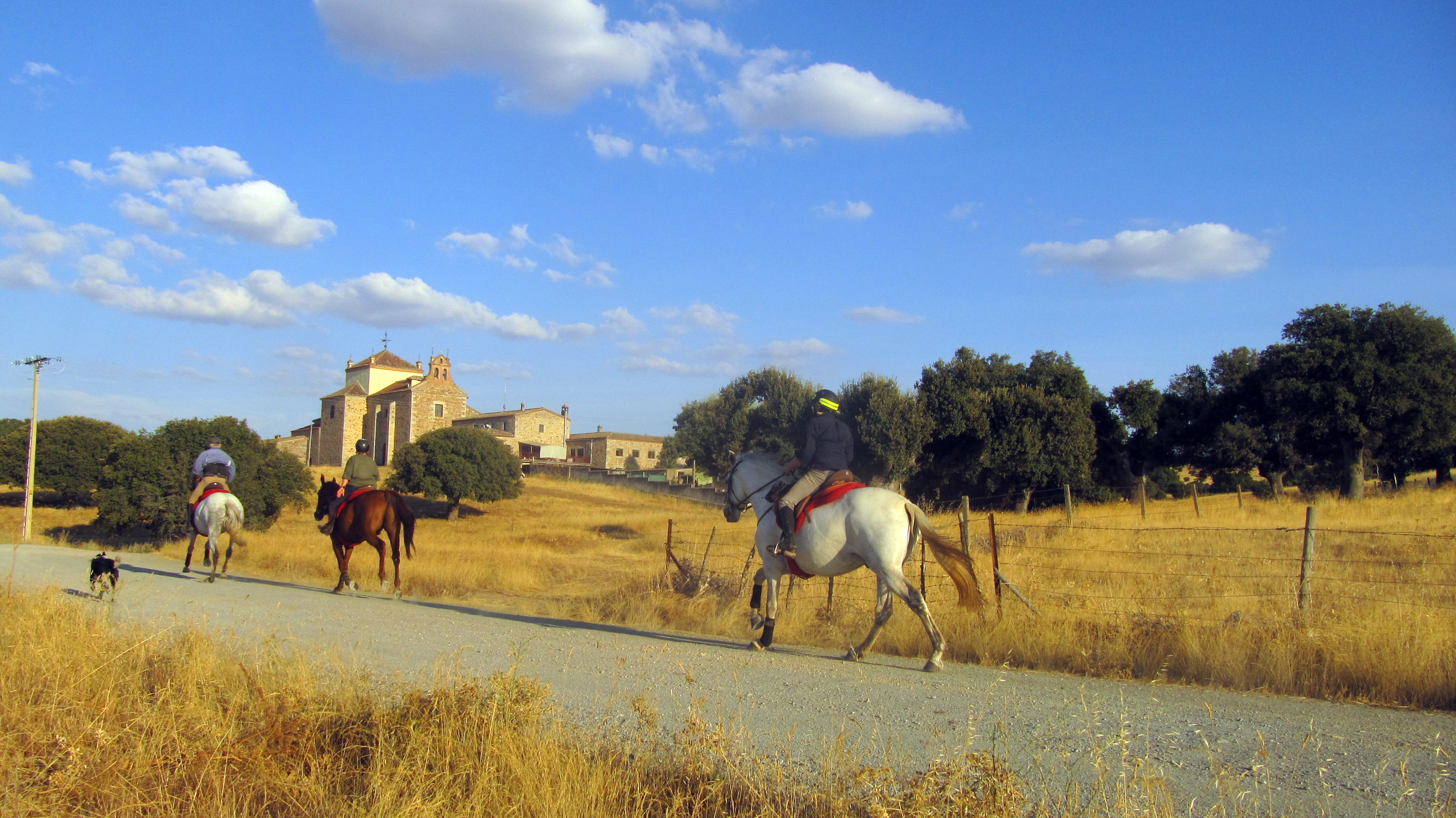 Image Espagne : A cheval de la Sierra de Gredos à Salamanque