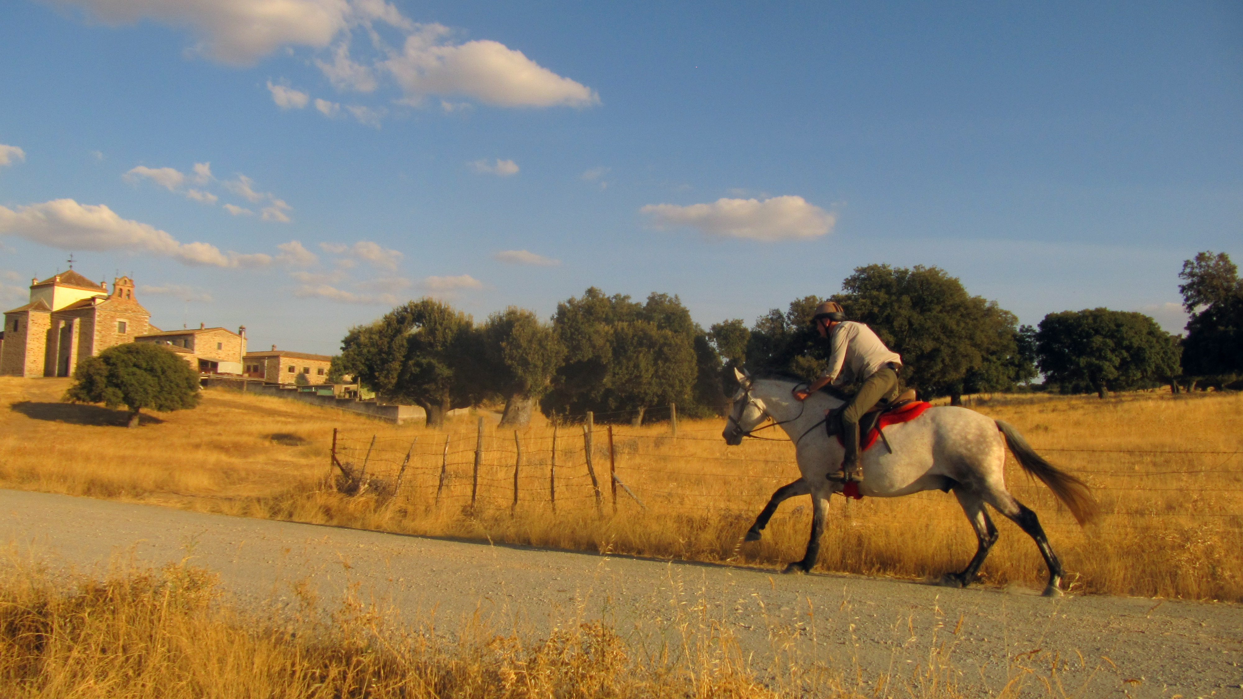 Image Espagne : A cheval de la Sierra de Gredos à Salamanque