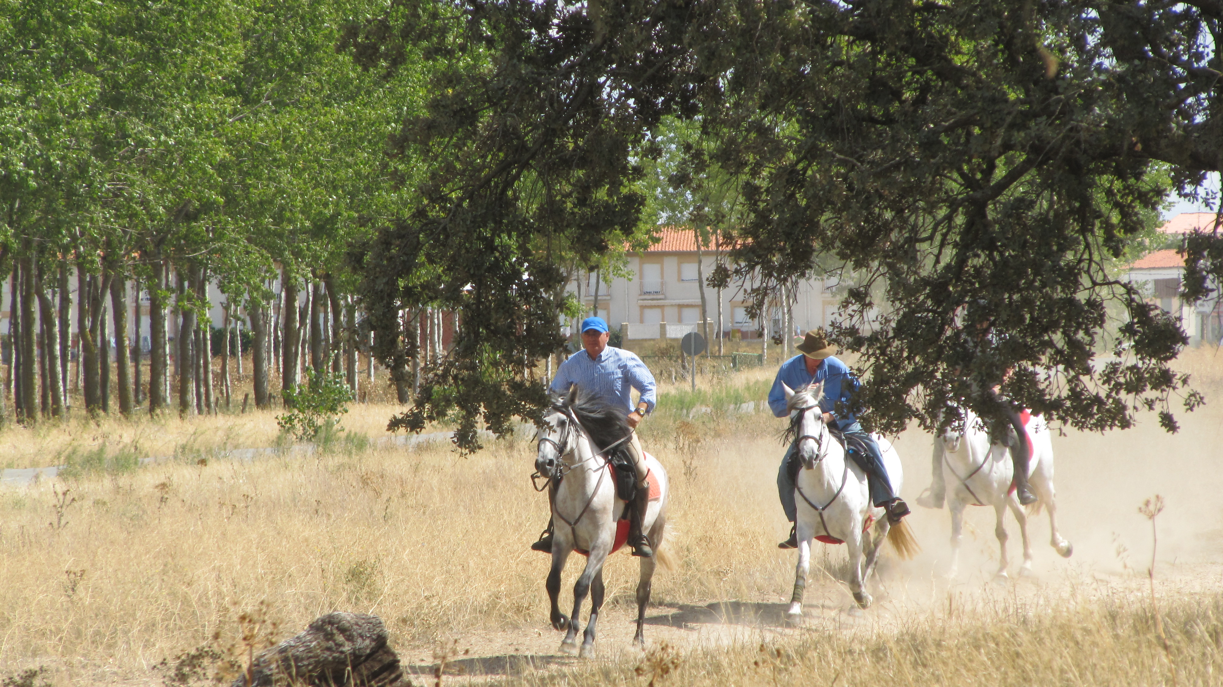 Image Espagne : A cheval de la Sierra de Gredos à Salamanque