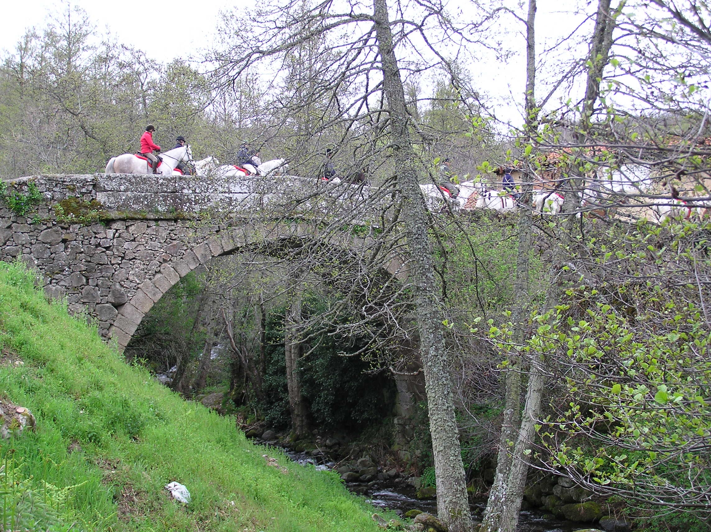 Image Espagne : A cheval de la Sierra de Gredos à Salamanque