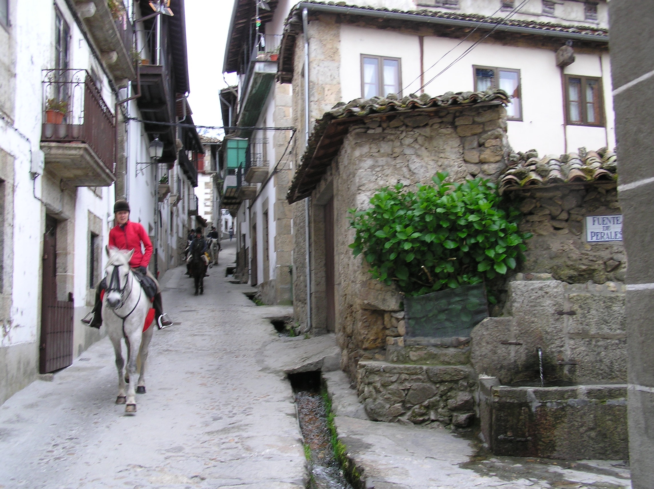 Image Espagne : A cheval de la Sierra de Gredos à Salamanque