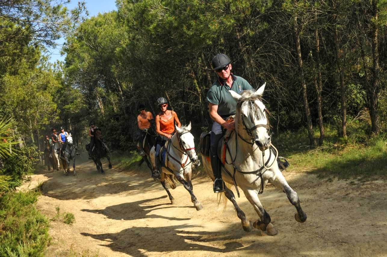 Image Espagne : Collines & plages de Catalogne à cheval