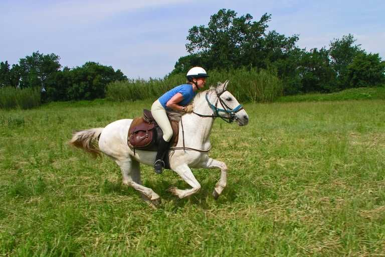 Image Espagne : Collines & plages de Catalogne à cheval