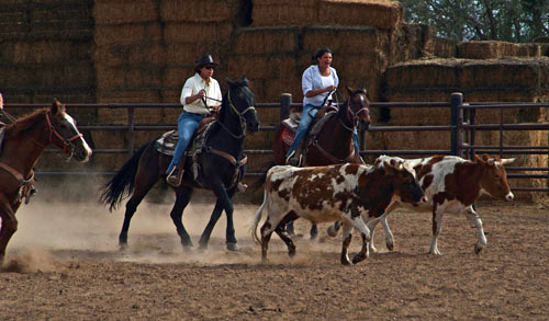 semaine cheval en ranch USA