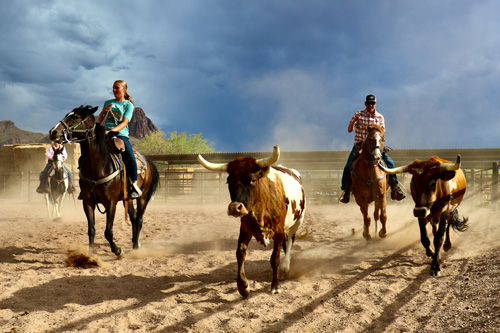 Far West cheval USA