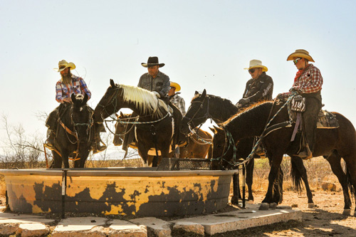 Image Usa : Randonnées à cheval et séjour en ranch près de Tombstone en Arizona