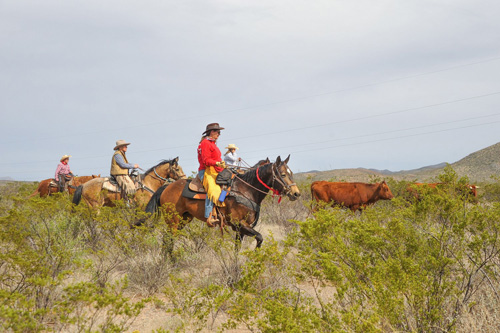 Image Usa : Randonnées à cheval et séjour en ranch près de Tombstone en Arizona