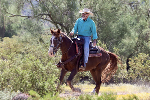 Image Usa : Randonnées à cheval et travail dans un ranch en Arizona
