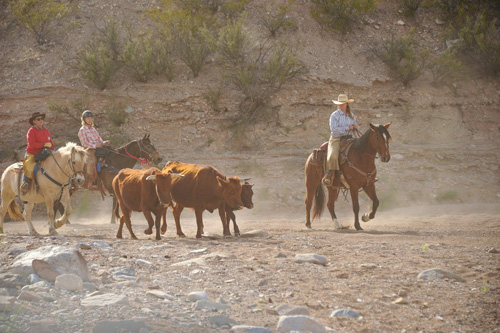 Image Usa : Randonnées à cheval et séjour en ranch près de Tombstone en Arizona