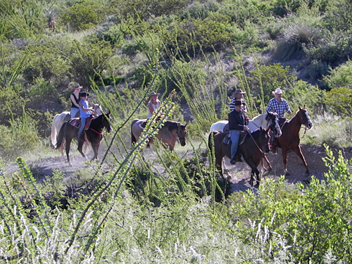 Image Usa : Randonnées à cheval et séjour en ranch près de Tombstone en Arizona