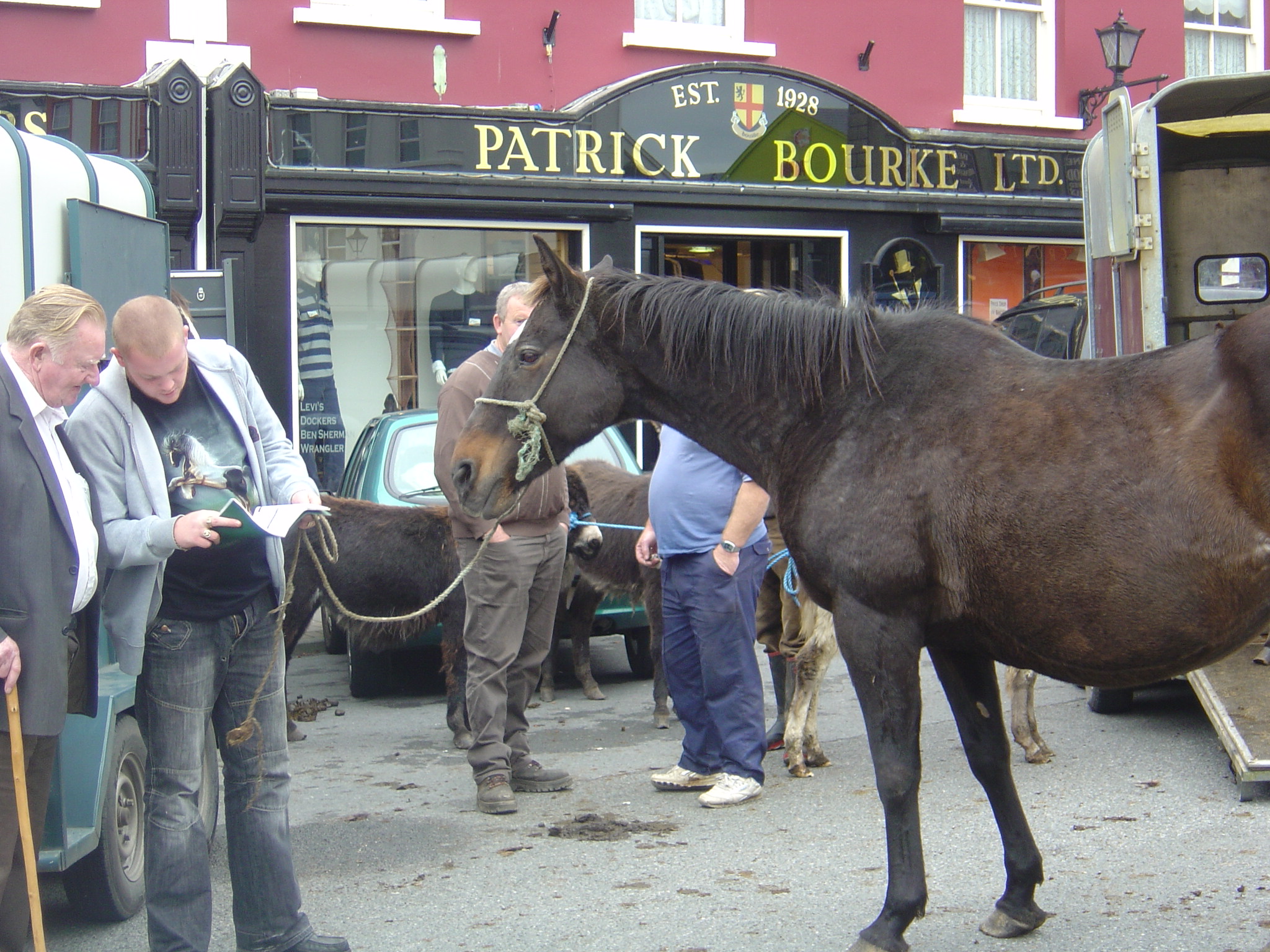 Image Fête du cheval de Ballinaloe en Irlande