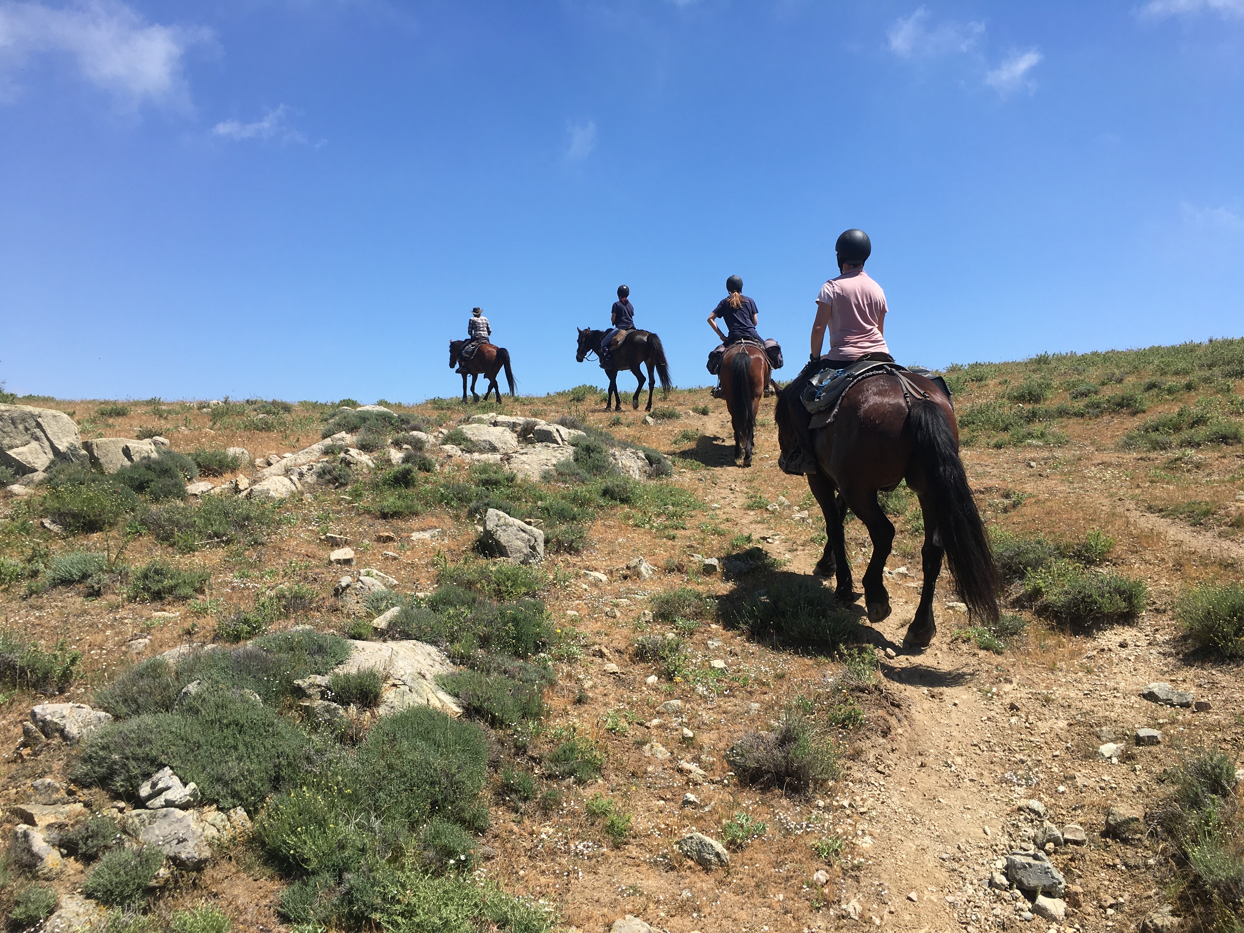 Image Rando à cheval en Corse et Ethologie