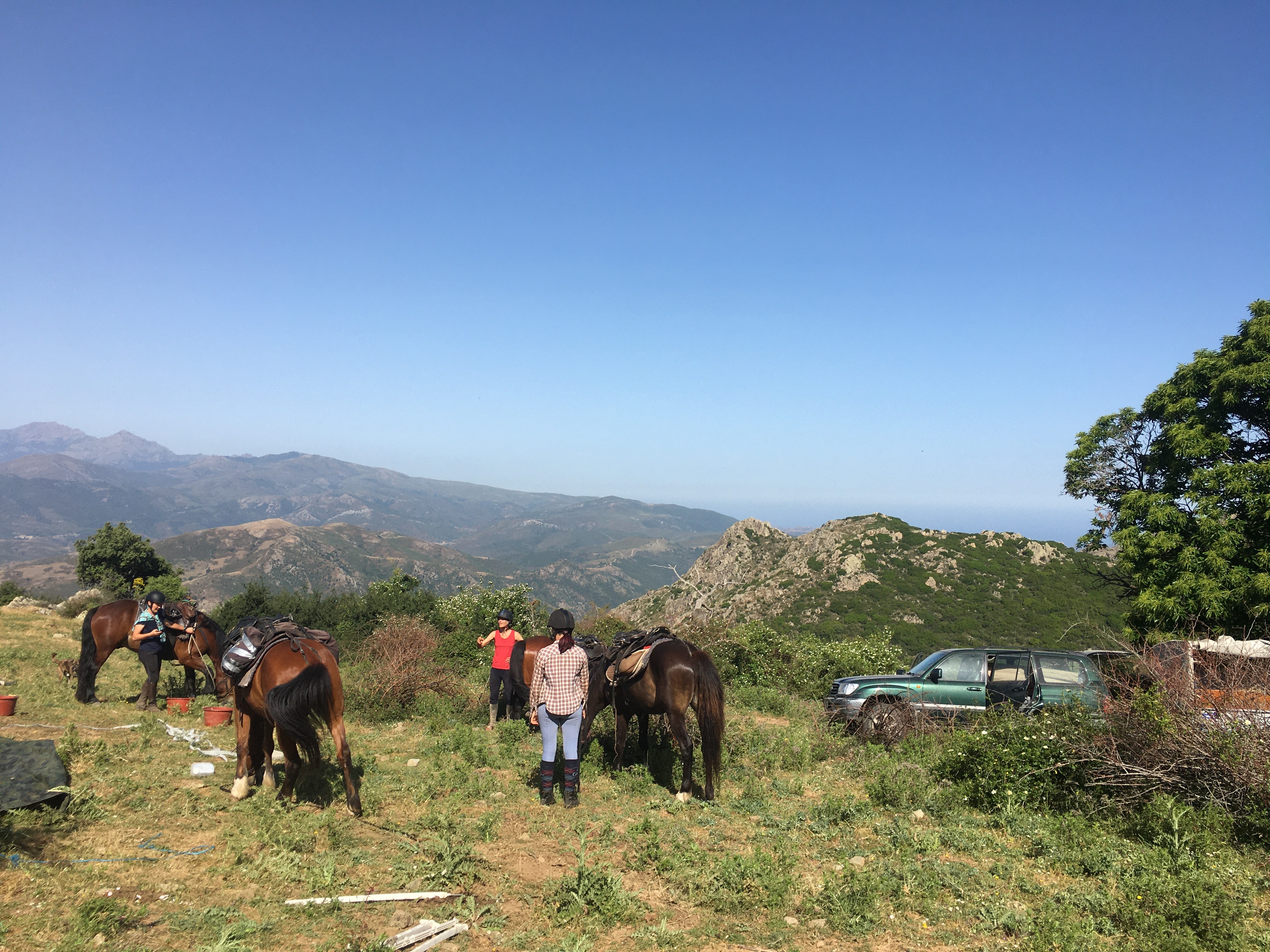 Image Rando à cheval en Corse et Ethologie