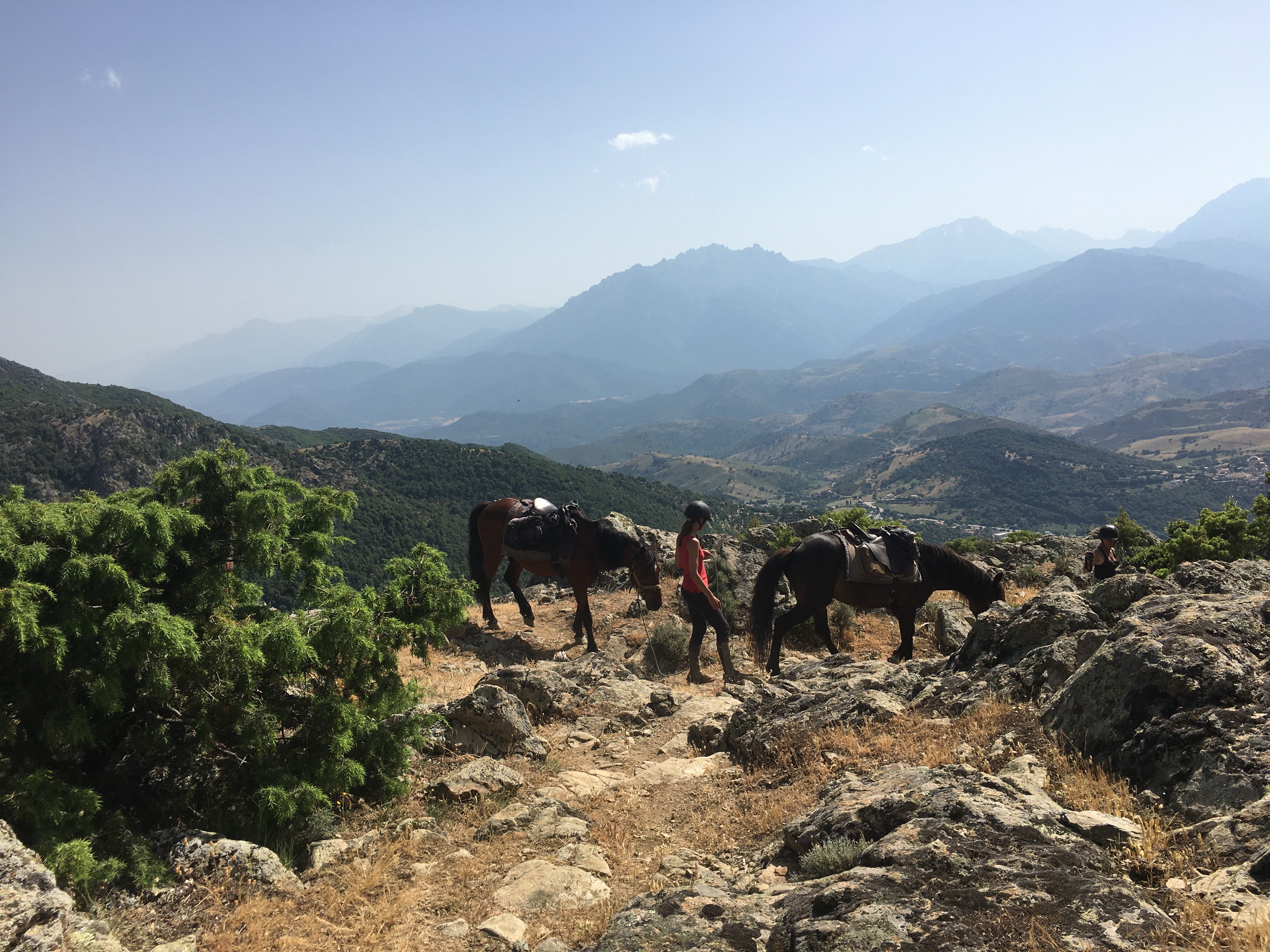 Image Rando à cheval en Corse et Ethologie
