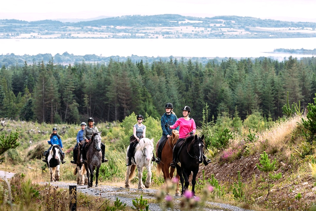 Image Fête du cheval de Ballinaloe en Irlande