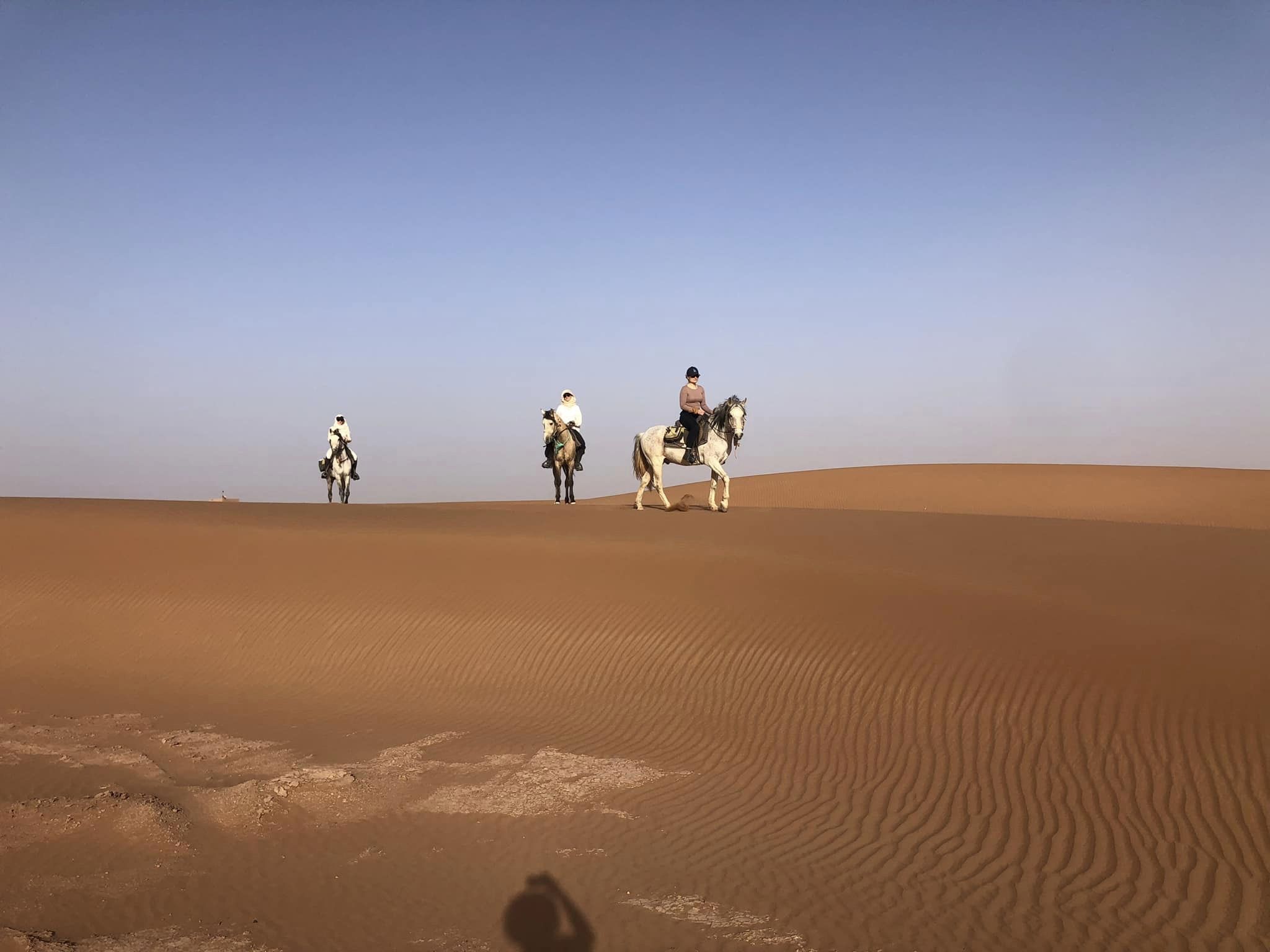 Image Les Oasis Sacrées