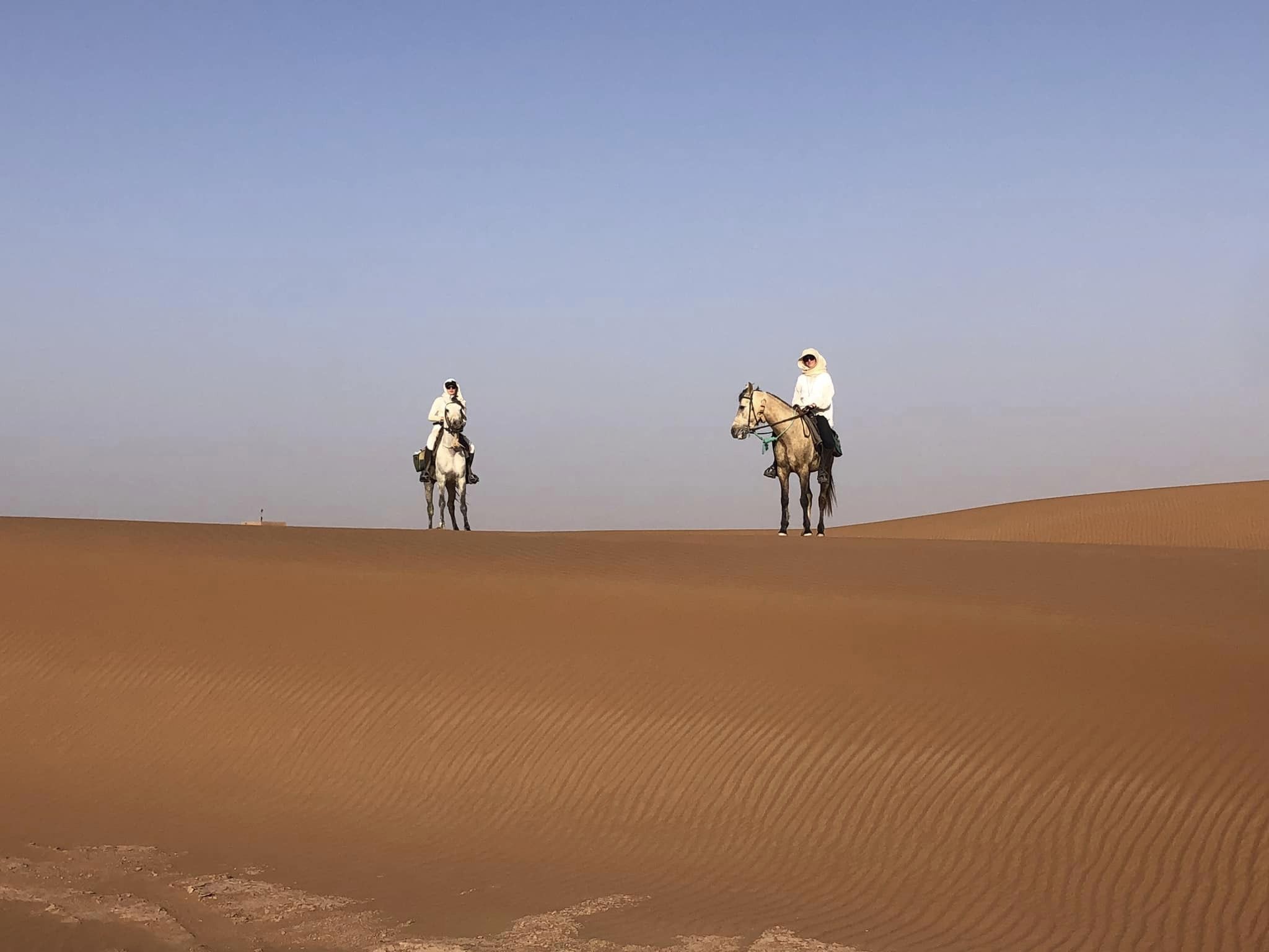 Image Les Oasis Sacrées