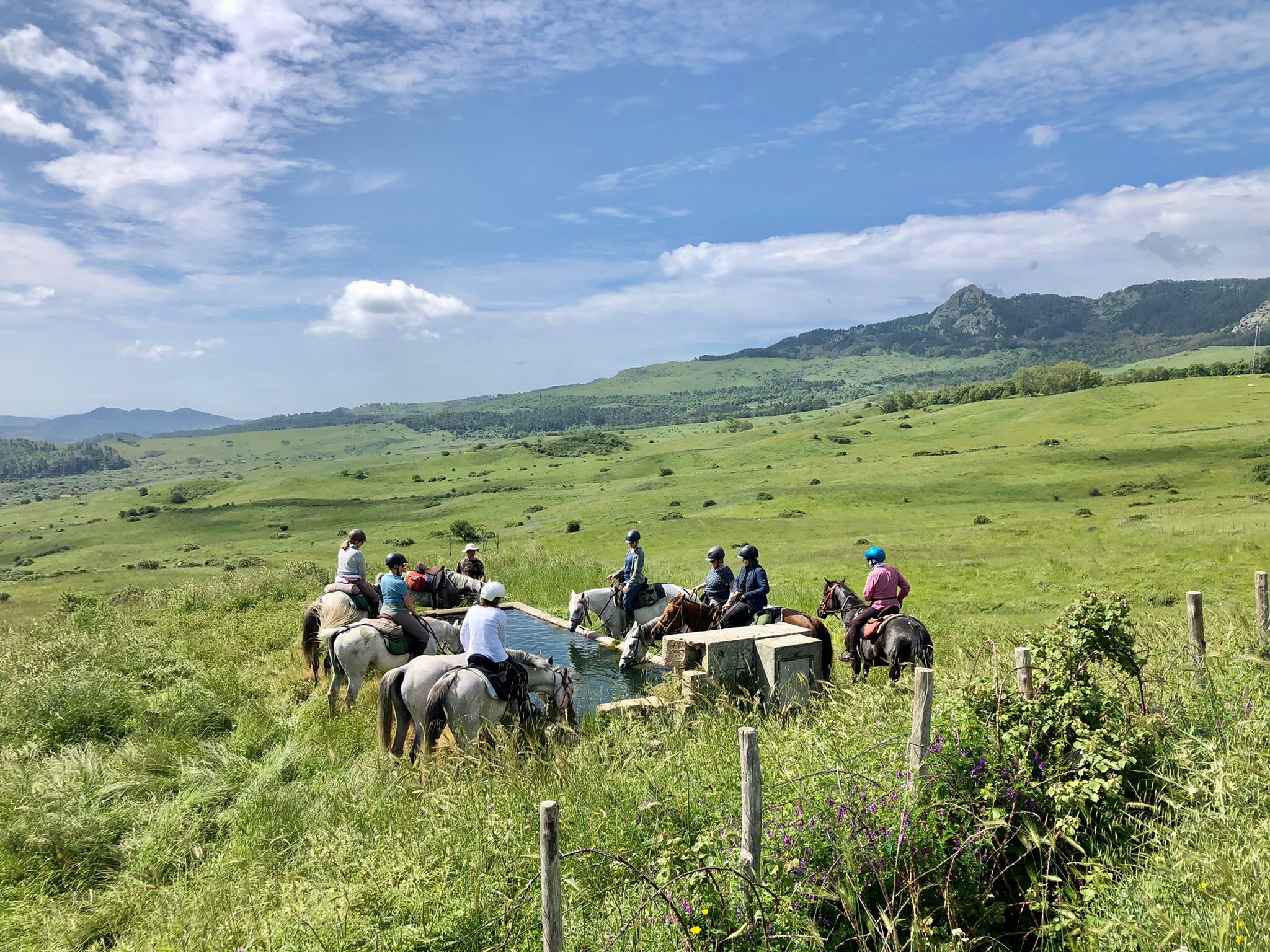 Image Sicile : Odyssée Sicilienne à cheval