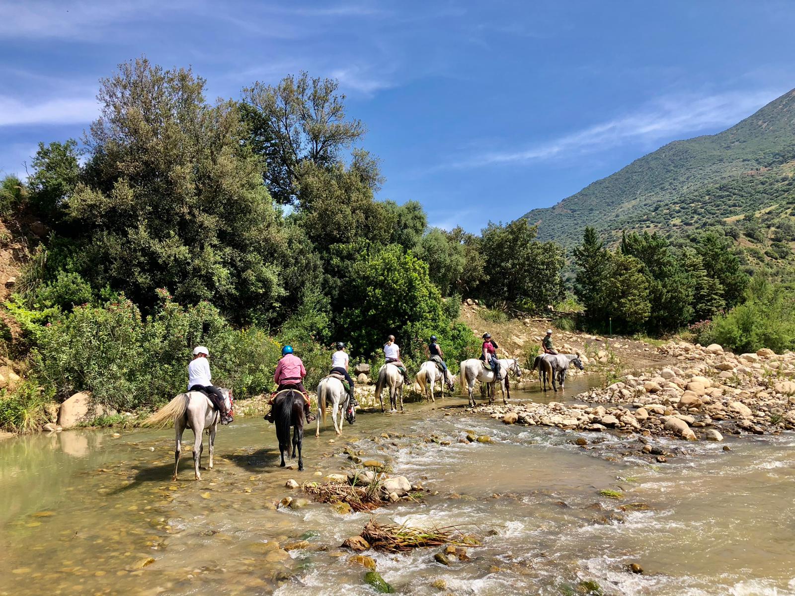 Image Sicile : Odyssée Sicilienne à cheval