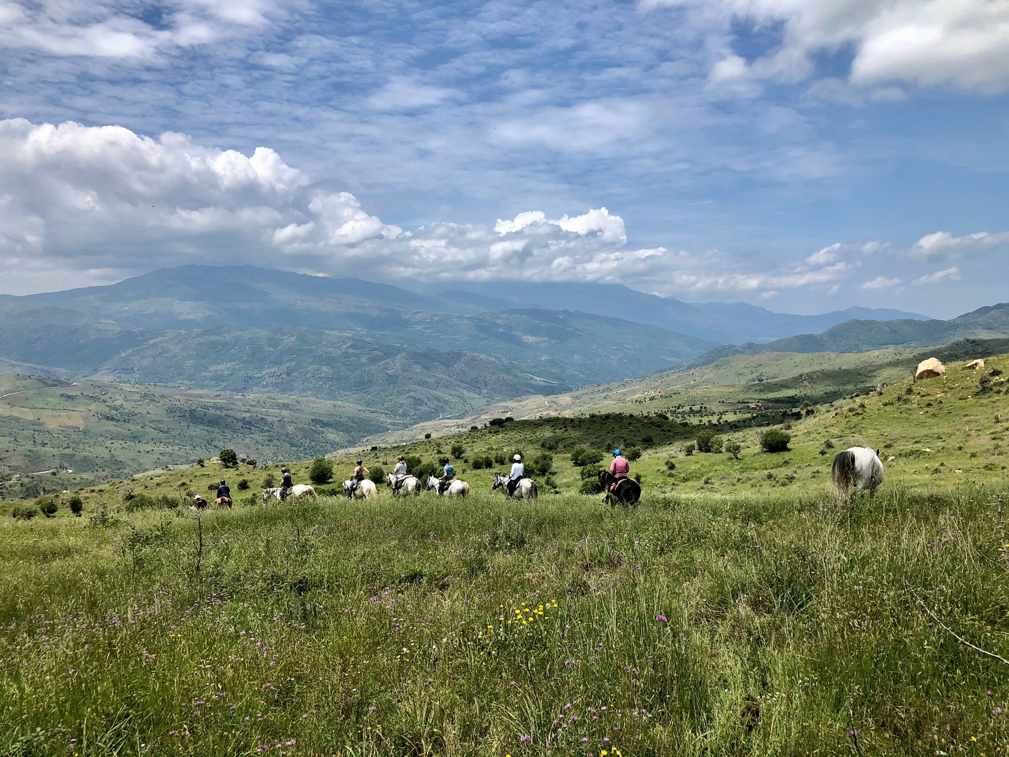 Image Sicile : Odyssée Sicilienne à cheval