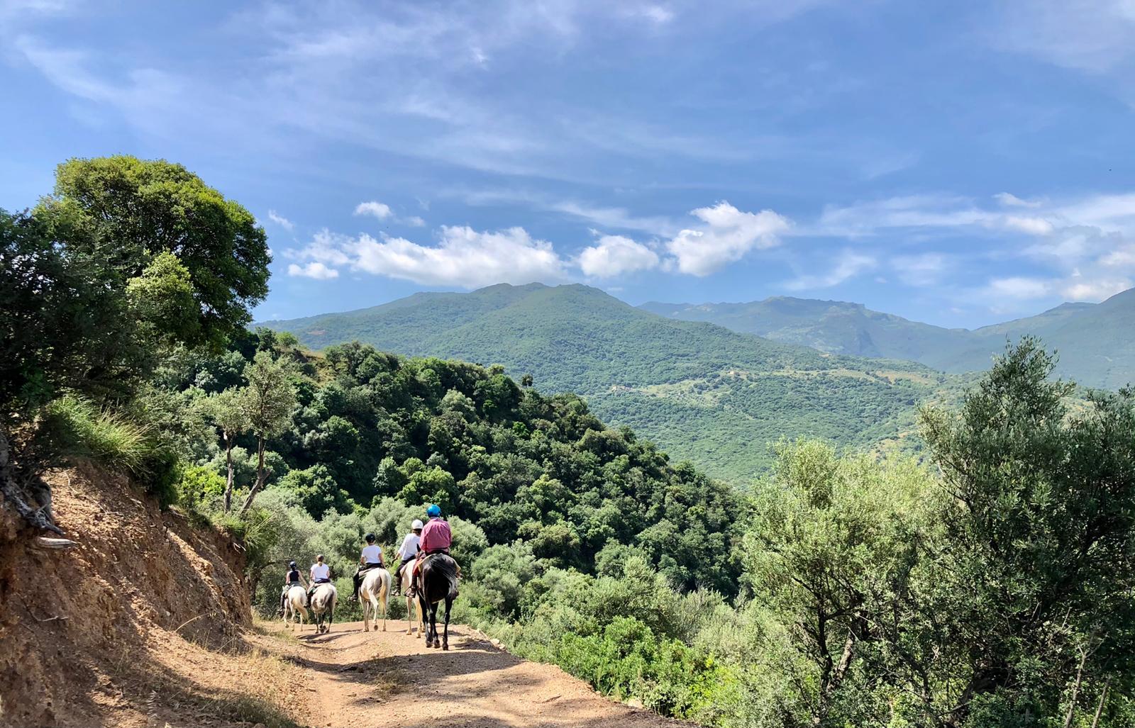 Image Sicile : Odyssée Sicilienne à cheval
