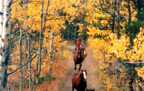 Image Canada : Lacs et montagnes de Colombie Britannique