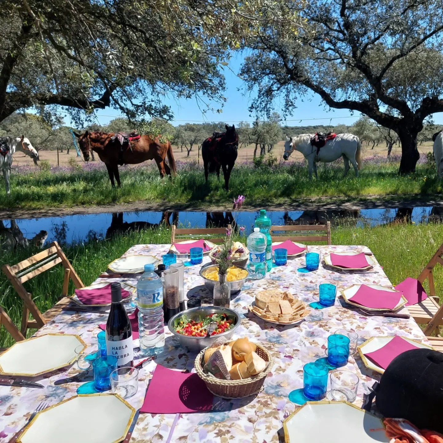 Image Espagne : Le Parc National de Montfrague en Extremadure