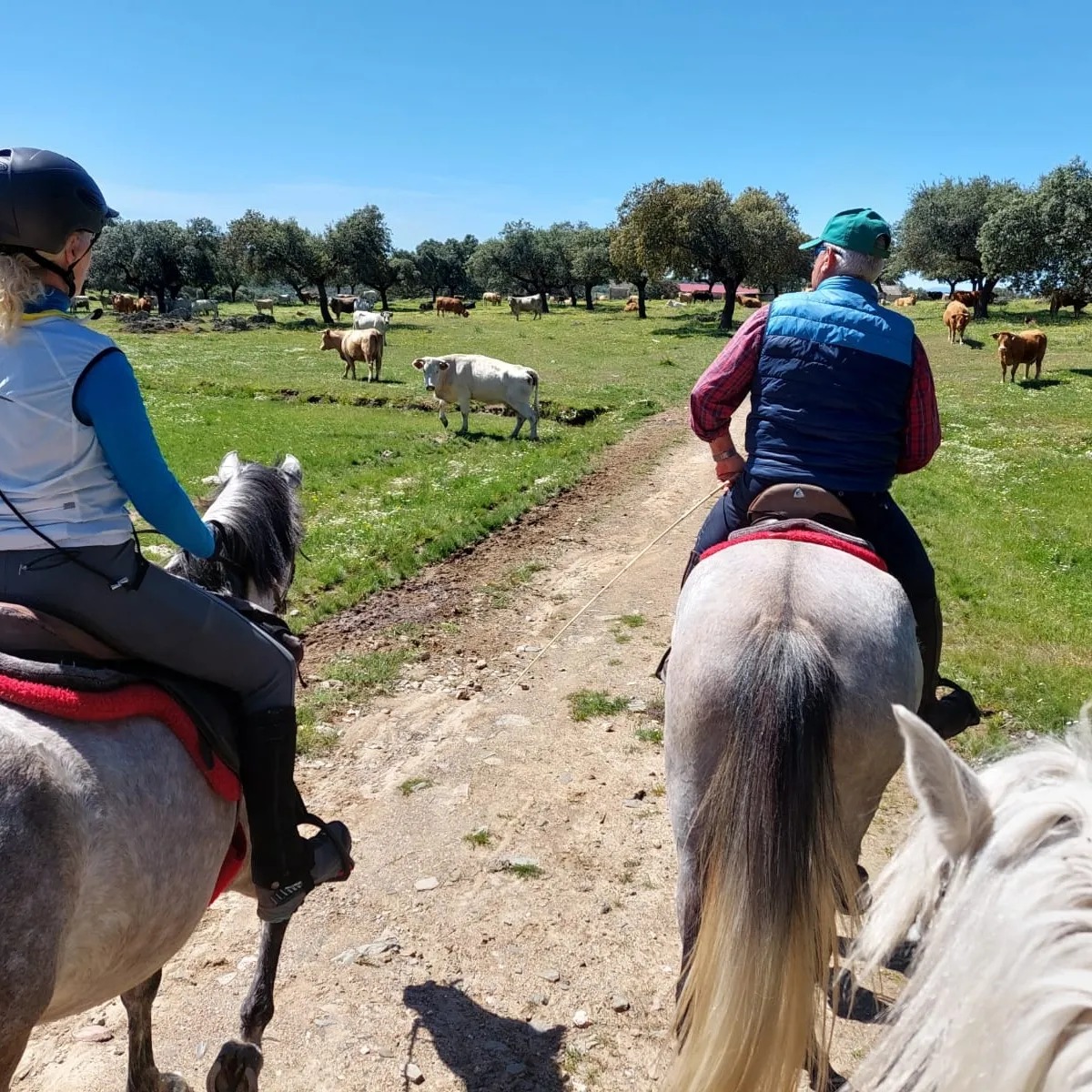 Image Espagne : Le Parc National de Montfrague en Extremadure