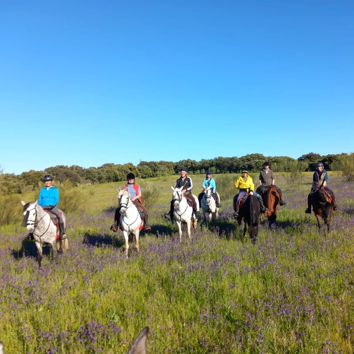 Image Espagne : Le Parc National de Montfrague en Extremadure