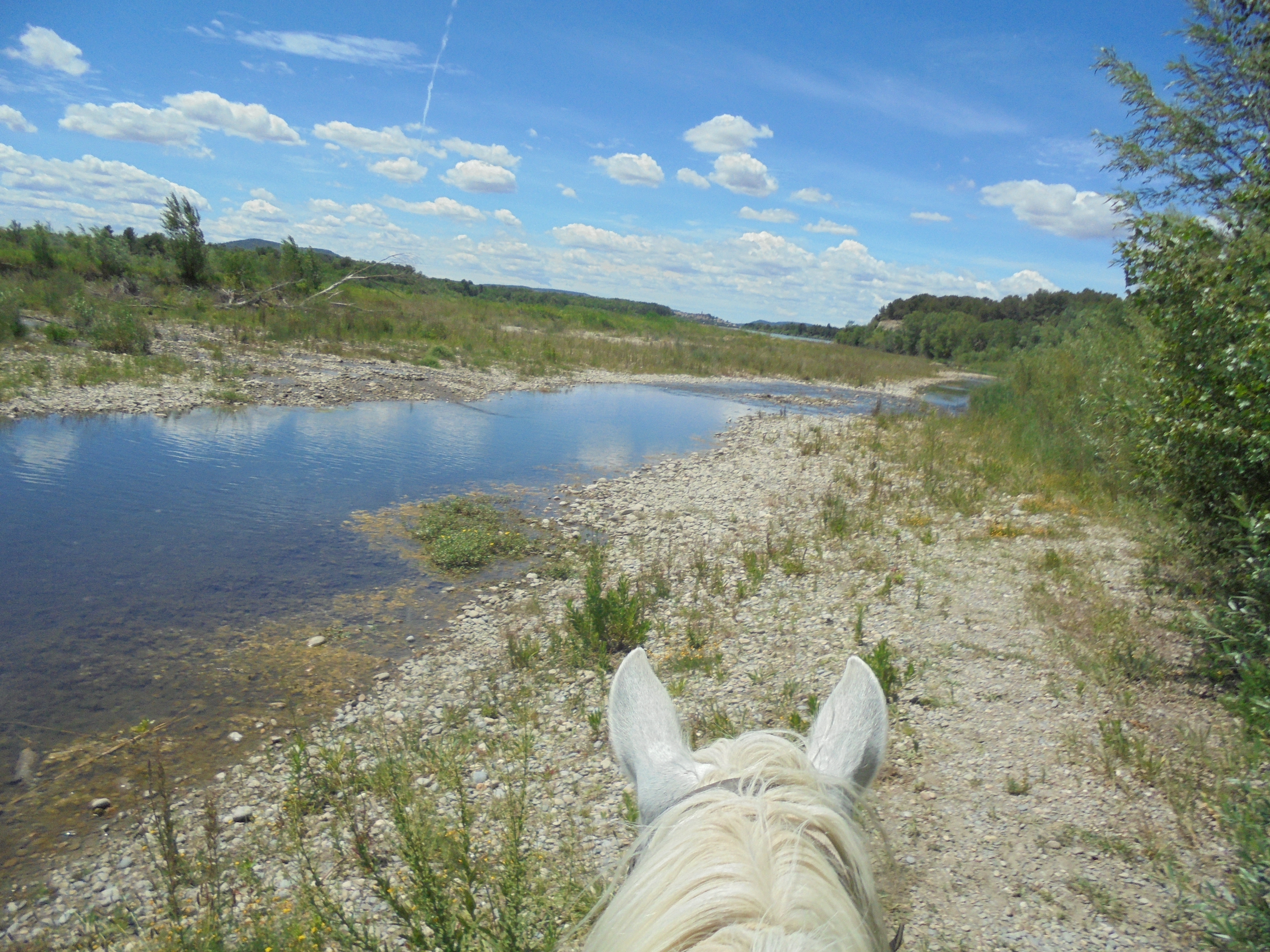 Image Deux semaines de voyage à cheval du Luberon à la Haute Provence + du Luberon à la Camargue