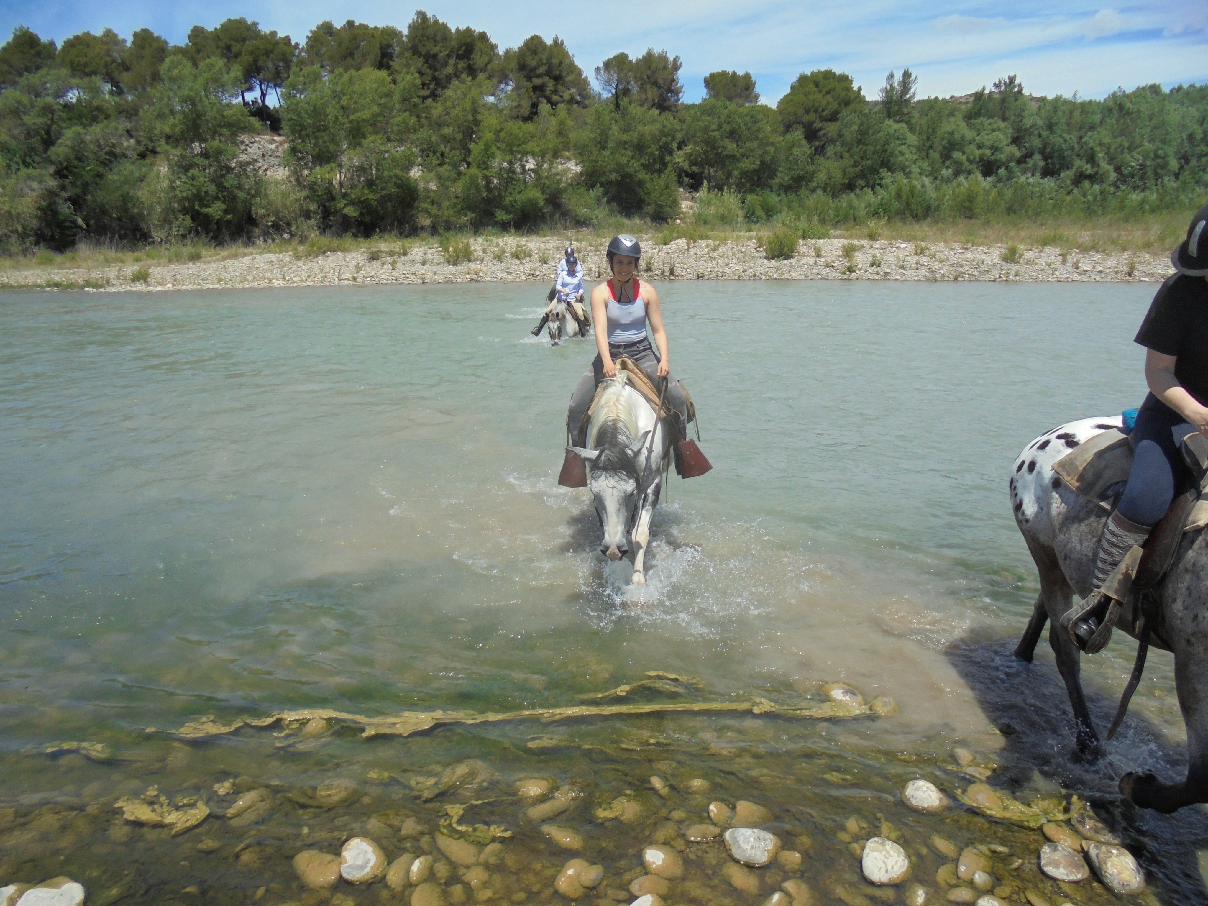 Image Deux semaines de voyage à cheval du Luberon à la Haute Provence + du Luberon à la Camargue