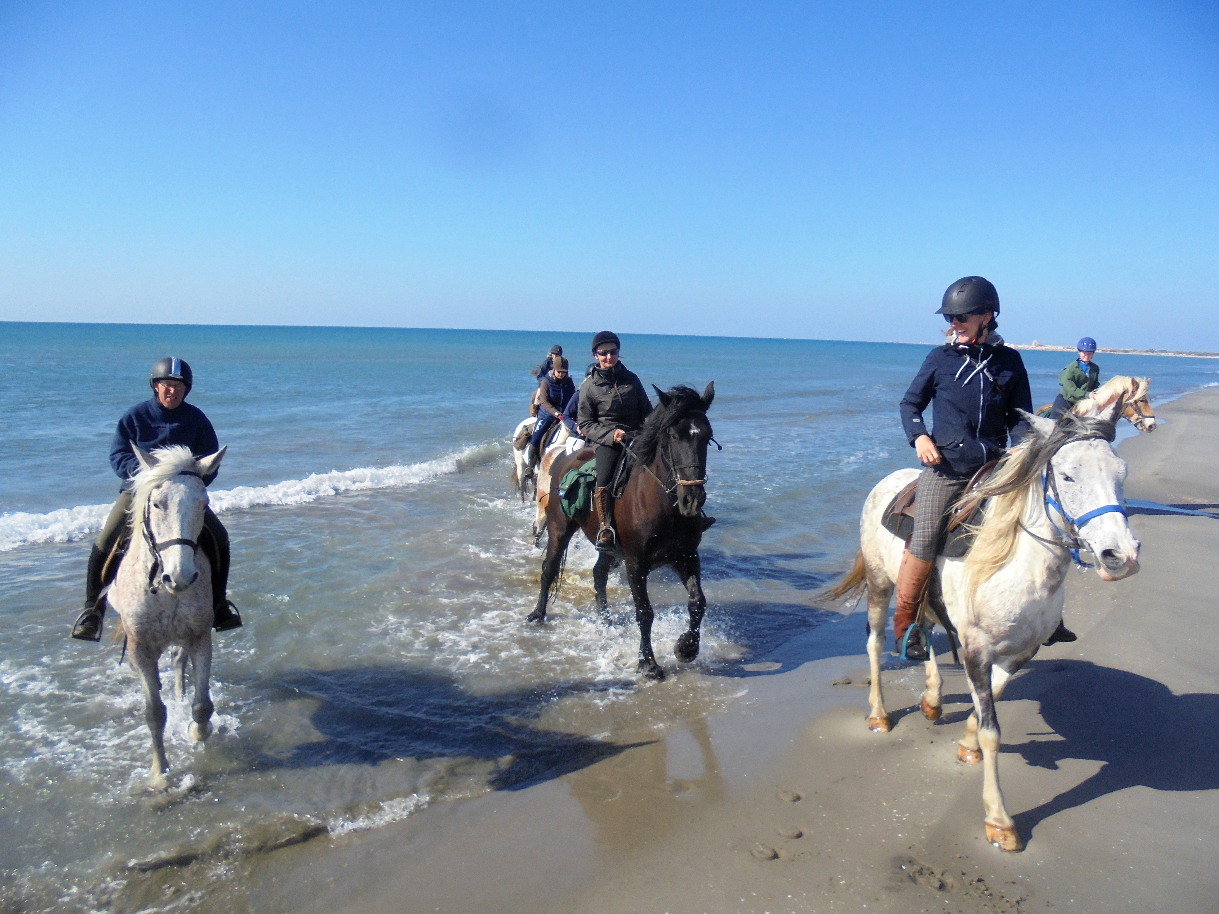 Image Deux semaines de voyage à cheval du Luberon à la Camargue + La Route de la Lavande