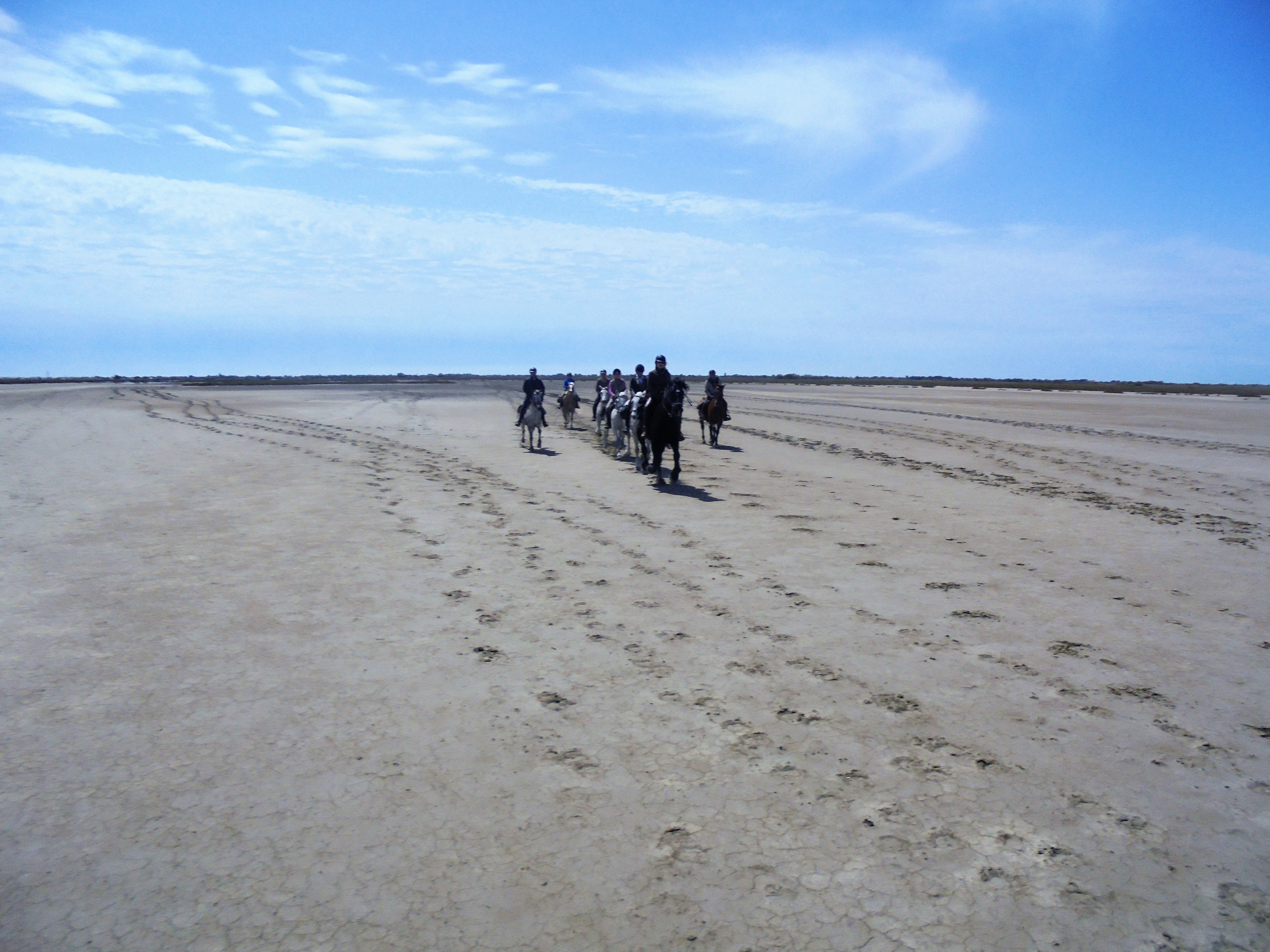 Image Deux semaines de voyage à cheval du Luberon à la Haute Provence + du Luberon à la Camargue