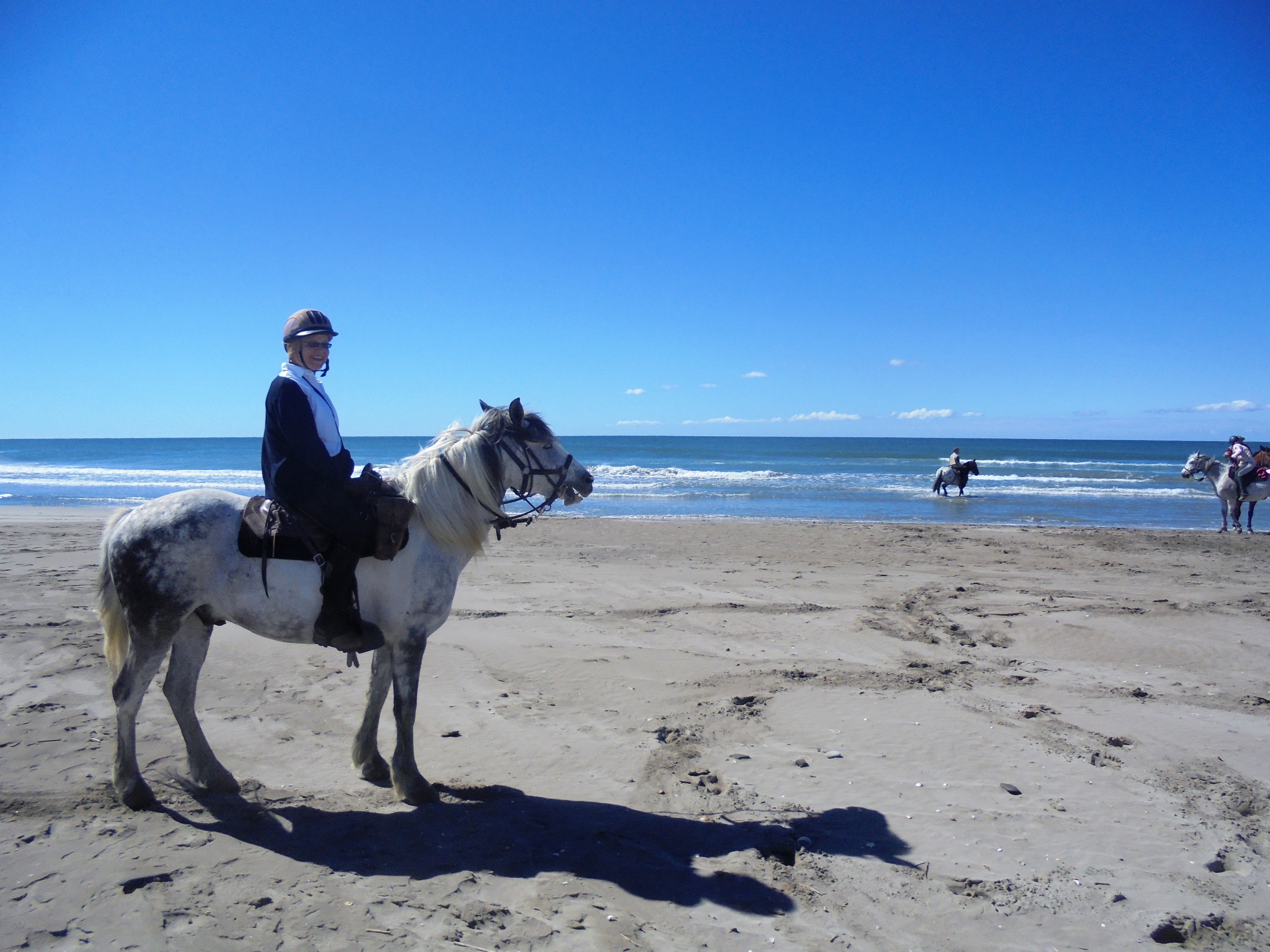 Image Deux semaines de voyage à cheval du Luberon à la Camargue + La Route de la Lavande