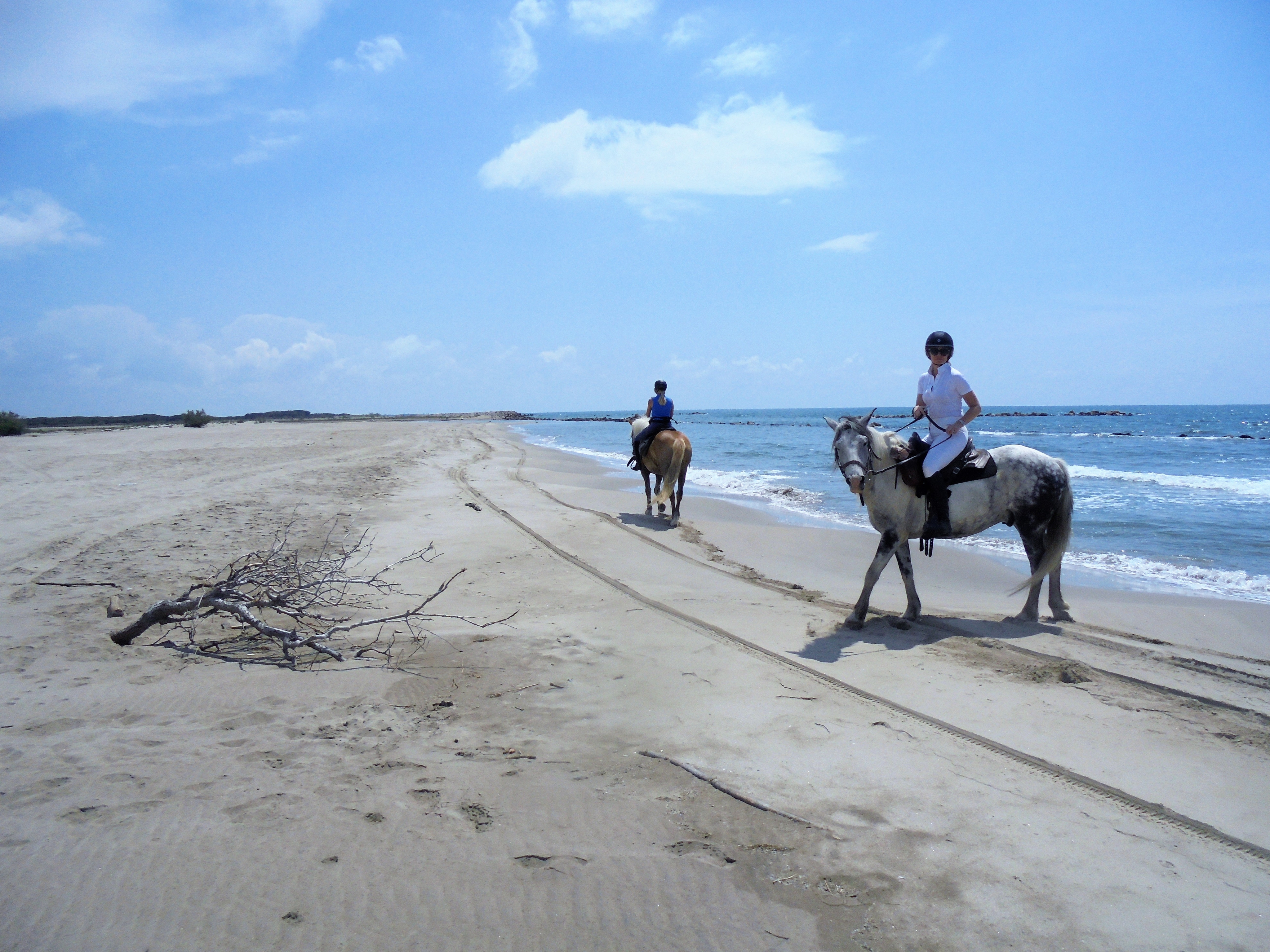Image Deux semaines de voyage à cheval du Luberon à la Camargue + La Route de la Lavande