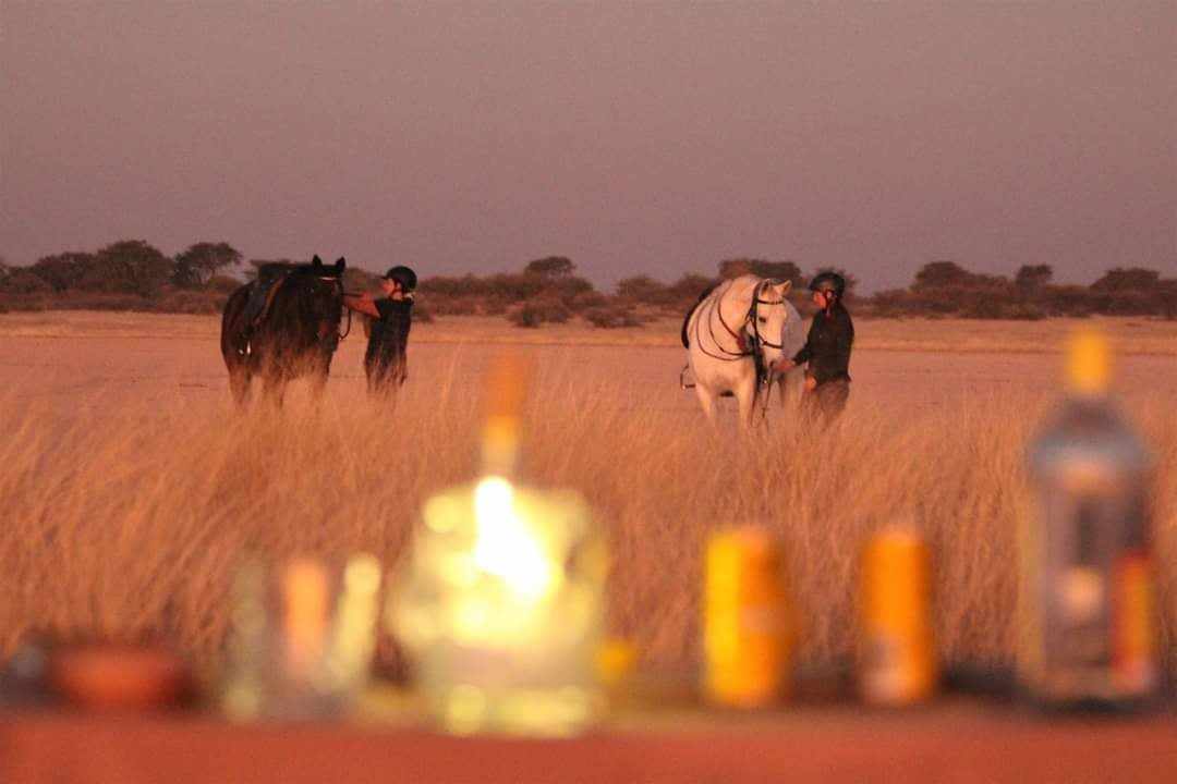 Image Namibie : Safari à cheval au bord du Kalahari