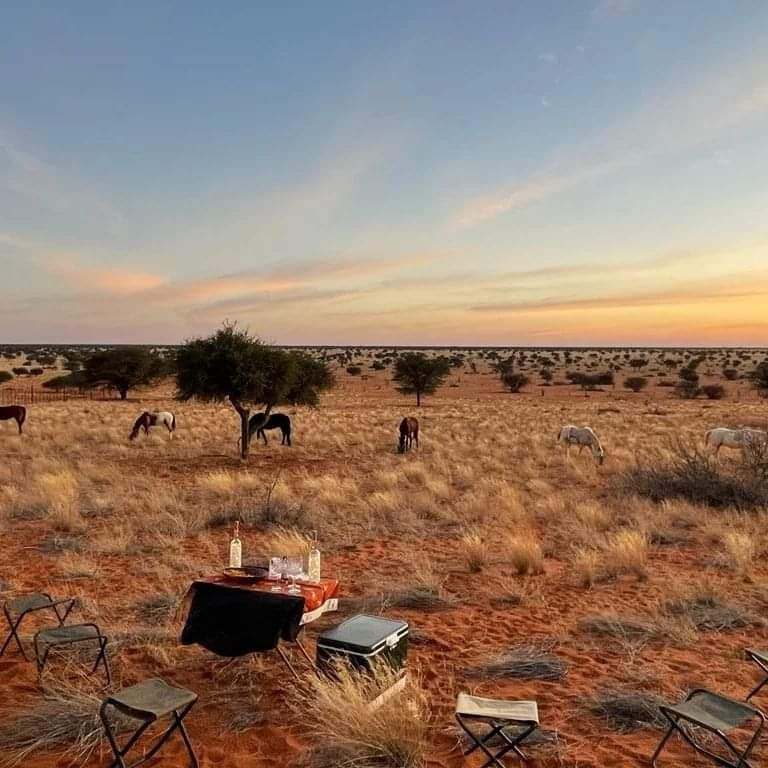 Image Namibie : Safari à cheval au bord du Kalahari