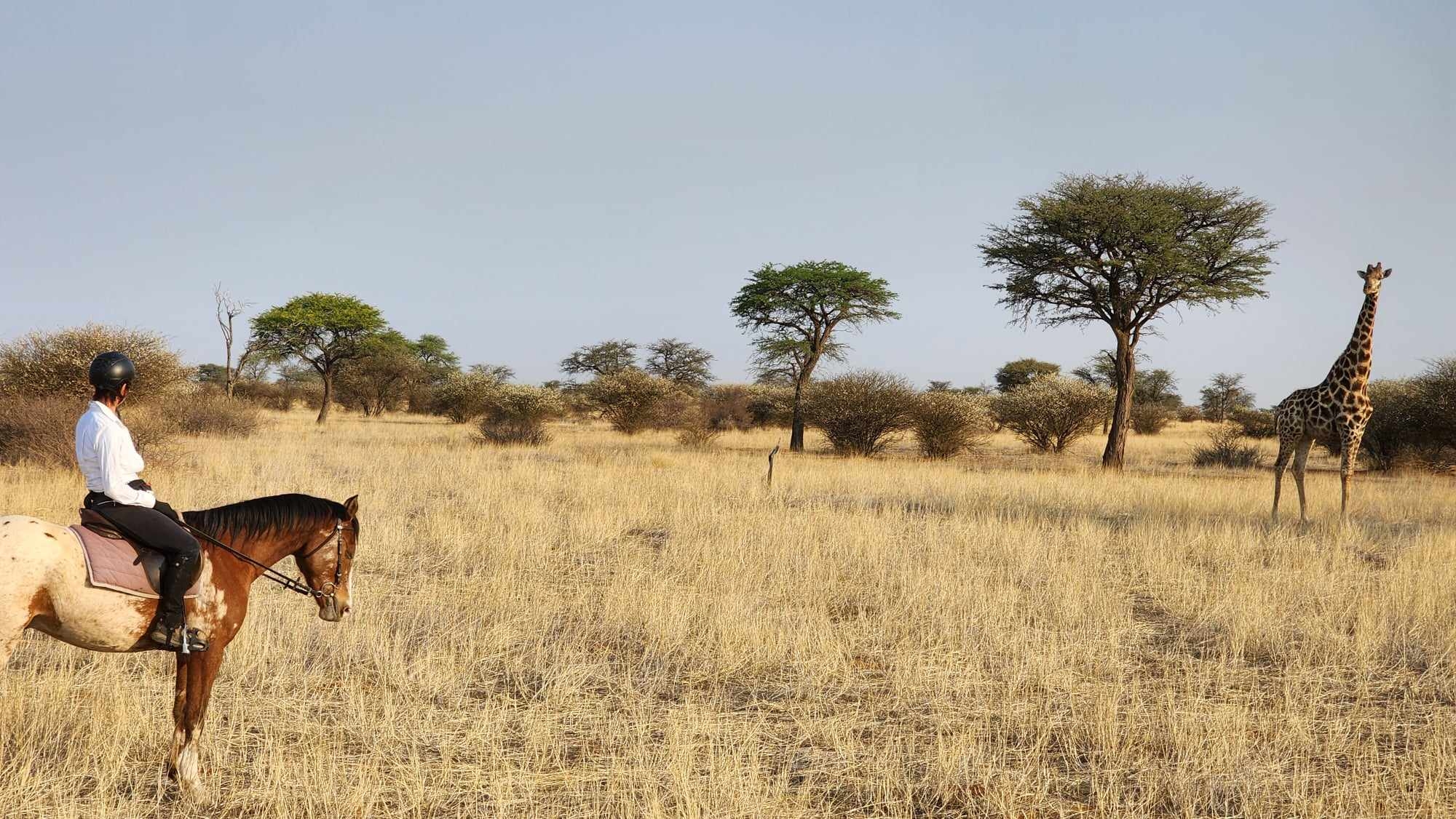 Image Namibie : Safari à cheval au bord du Kalahari