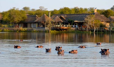 Image Afrique du Sud : Les Big Five du Kruger