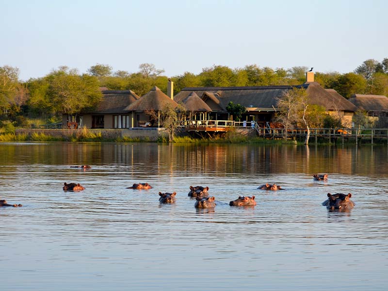 Image Afrique du Sud : Les Big Five du Kruger