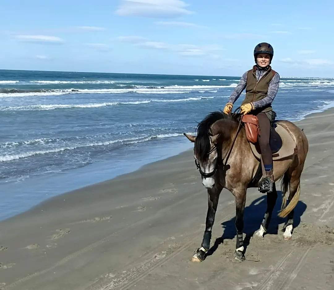 Image Deux semaines de voyage à cheval du Luberon à la Camargue + La Route de la Lavande