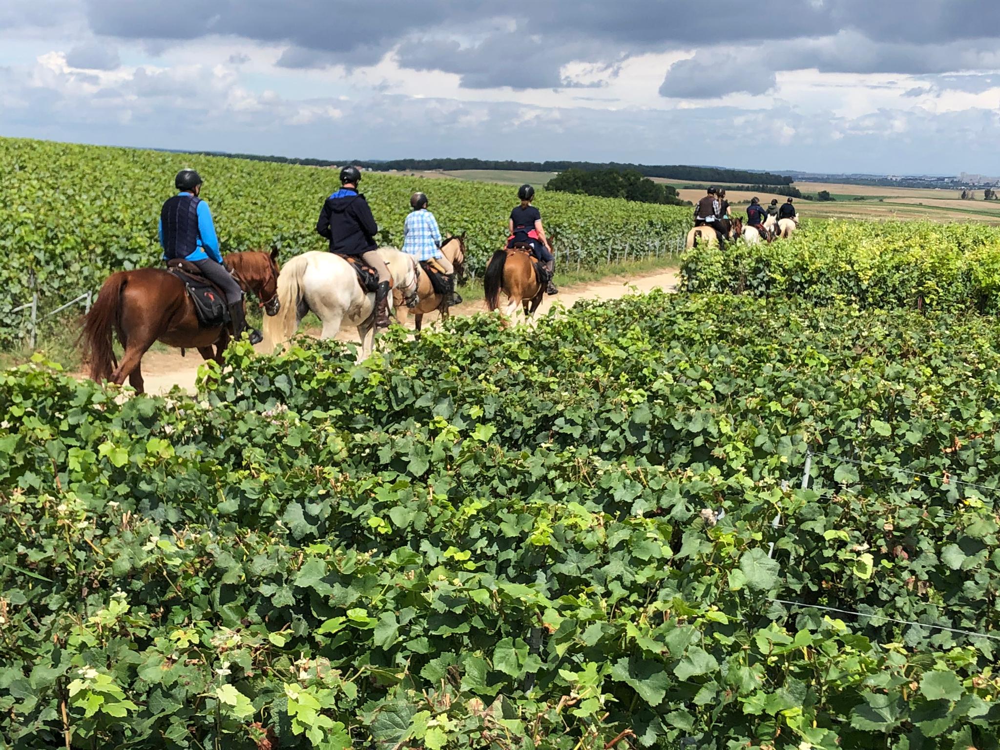 rando a cheval Sancerrois