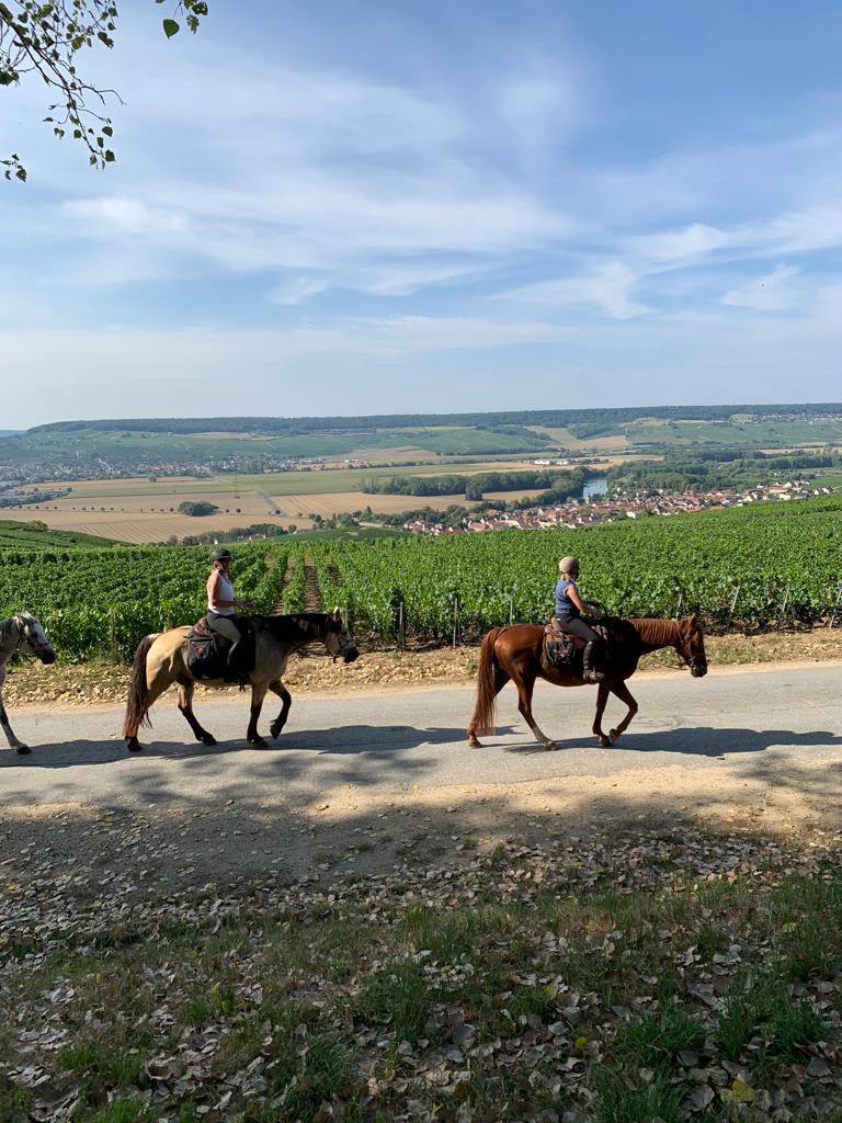 Image Vallée de la Loire : Sancerre et le Sancerrois à cheval