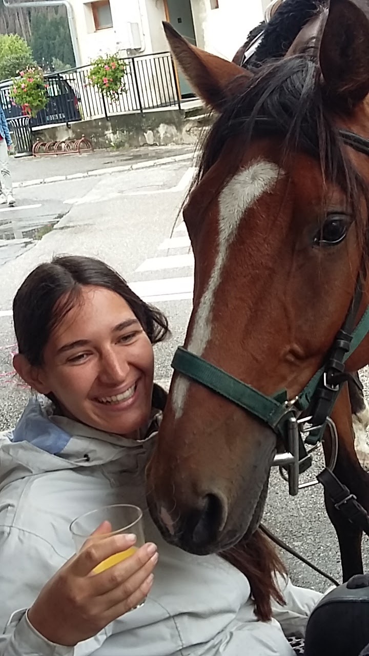 Image Les sommets de Haute Savoie à cheval