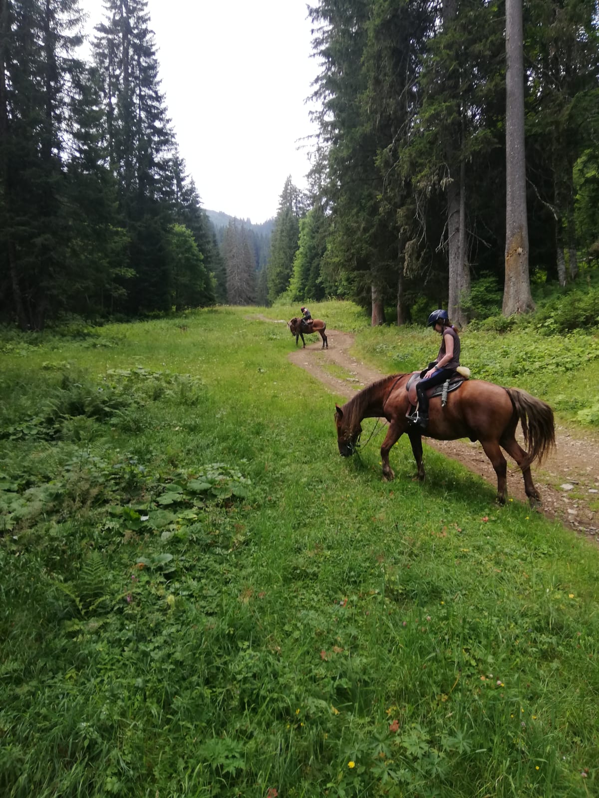 Image Les sommets de Haute Savoie à cheval