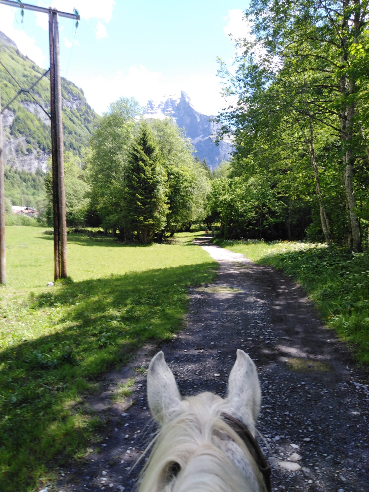Image Les sommets de Haute Savoie à cheval