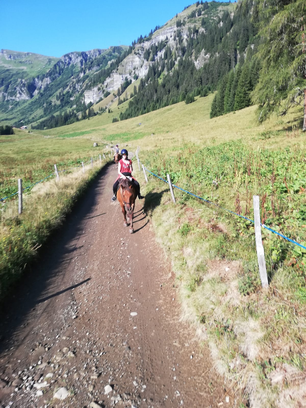 Image Les sommets de Haute Savoie à cheval