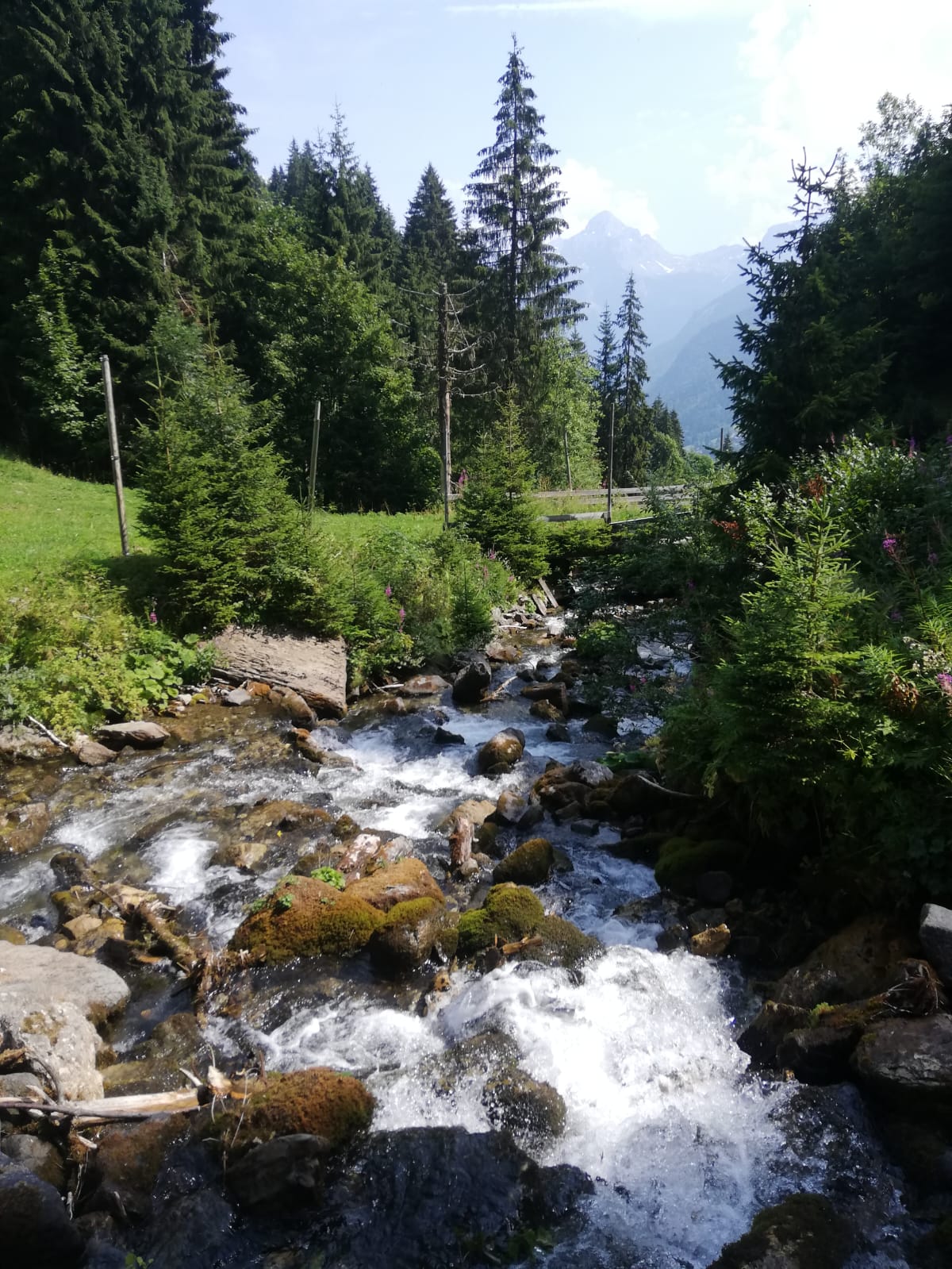 Image Les sommets de Haute Savoie à cheval