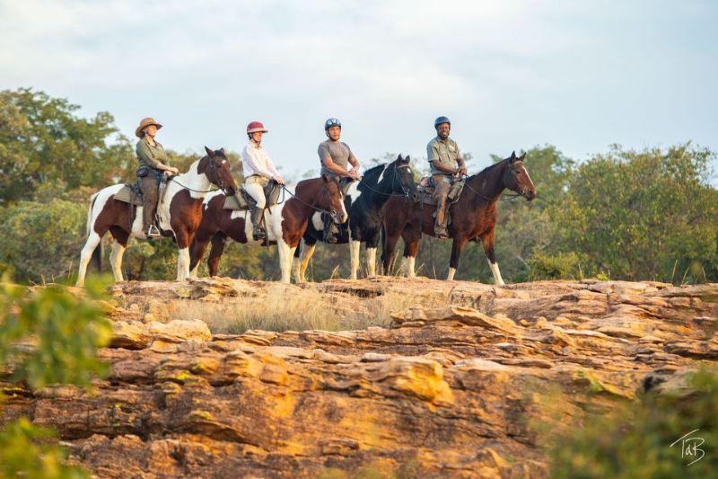 Image Afrique du Sud : Safari "Découverte" à cheval