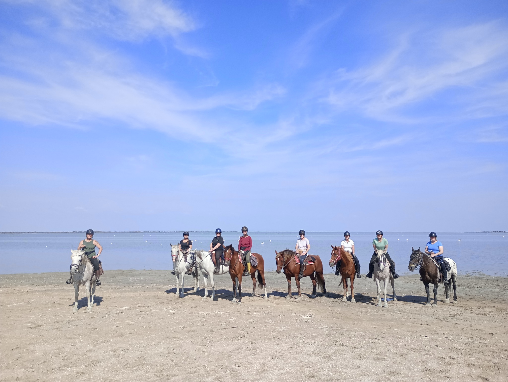 Image Voyage à cheval des collines du Luberon et des Alpilles à la Camargue